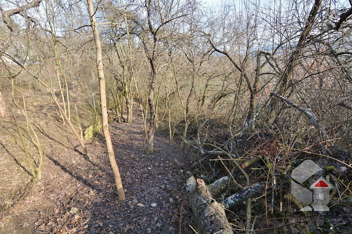 Prodej zahrady 207 m², Brno – fotka 1 z 3