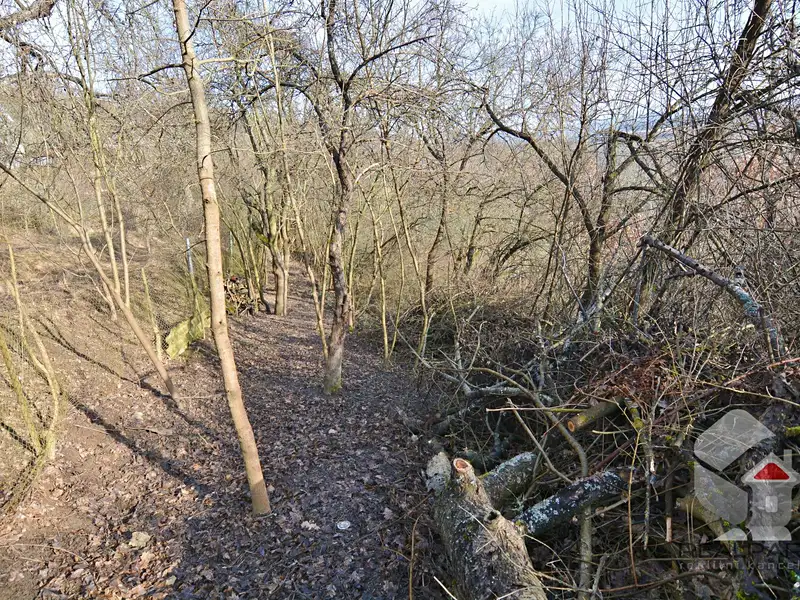 Prodej zahrady 207 m², Brno – náhled fotky 1