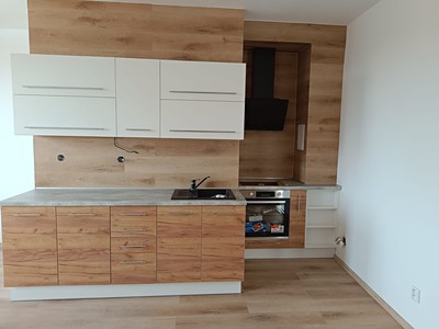 Pronájem bytu 1+1 44 m² (Jednopodlažní)