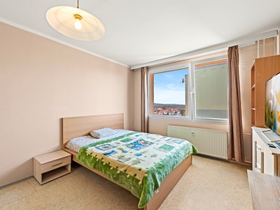Pronájem bytu 1+1 40 m² (Jednopodlažní)