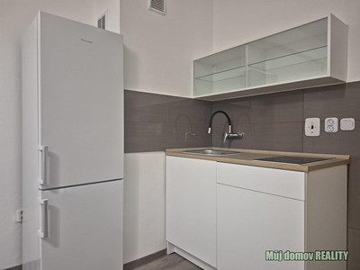 Pronájem bytu 1+kk 30 m² (Jednopodlažní)