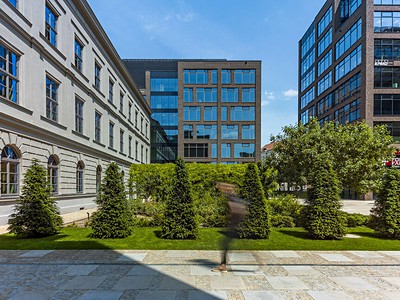 Pronájem kanceláře 252 m²