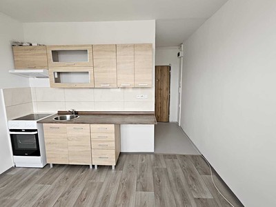 Pronájem bytu 1+1 34 m²