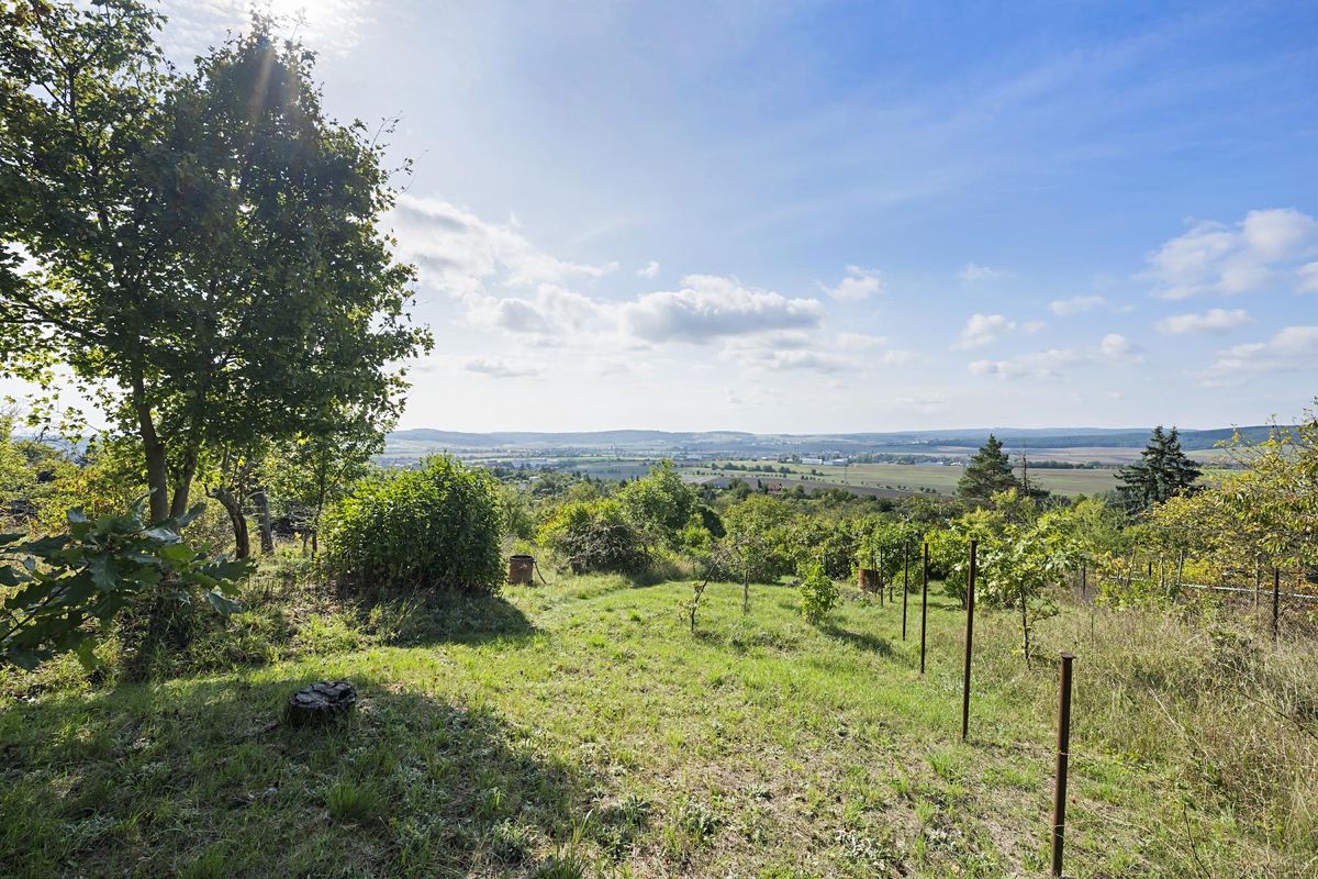 Prodej zahrady 1346 m² – fotografie 4