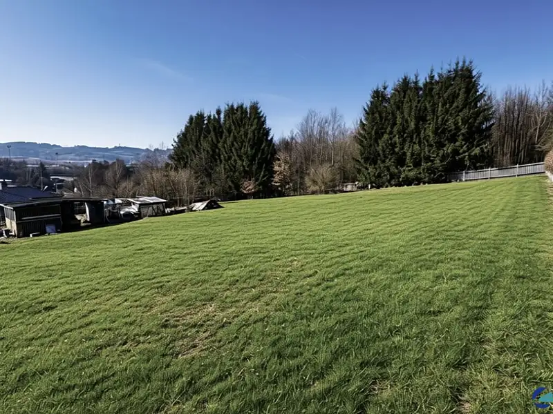 Prodej stavebního pozemku 868 m², Rybník – náhled fotky 3