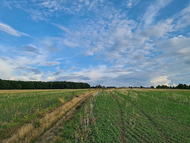 Grundstück zum Kauf, 22.239 m² (8 von 29)