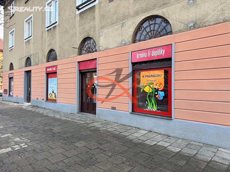 Pronájem obchodního prostoru 84 m², Rožnov pod Radhoštěm