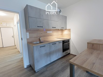 Pronájem bytu 1+kk 38 m²
