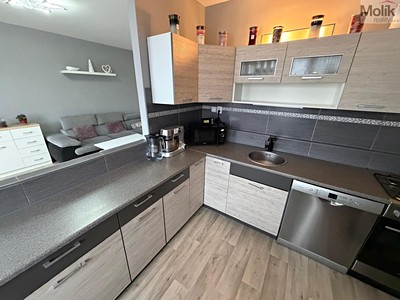 Prodej bytu 3+1 64 m²