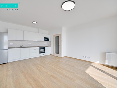 Pronájem bytu 2+kk 55 m²