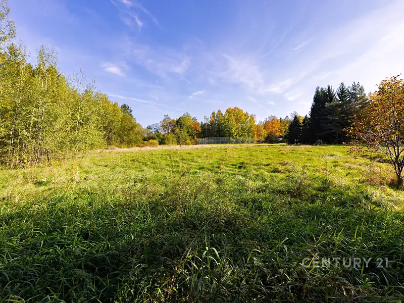 Prodej stavebního pozemku 2511 m², Jevany – náhled fotky 3