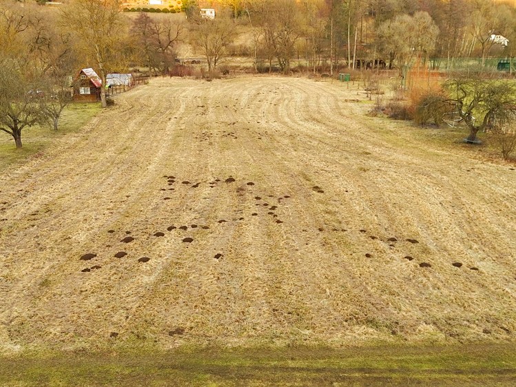 Ostatní