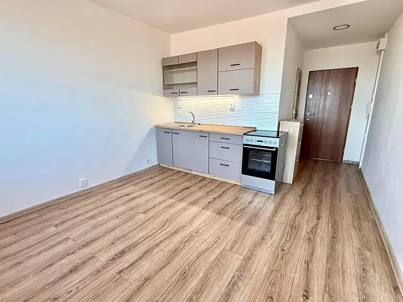 Prodej bytu 1+1 36 m², Jirkov – náhled fotky 1