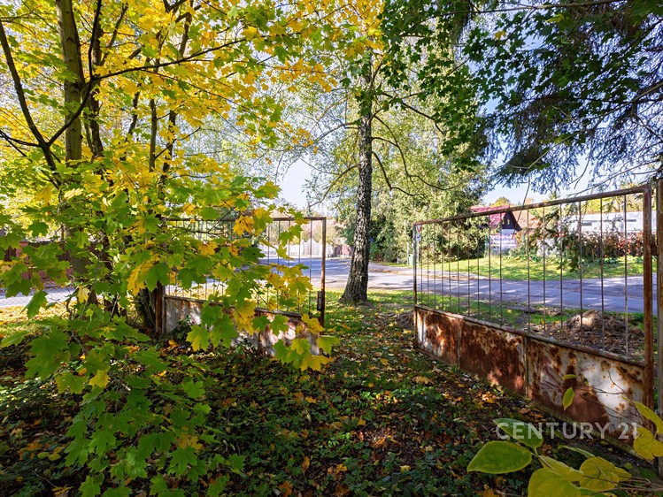 Ділянка на продаж, 2 511 м² (9 з 26)