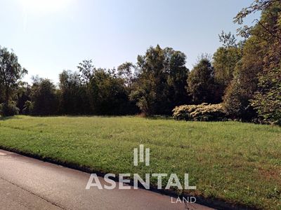 Prodej komerčního pozemku 9055 m²