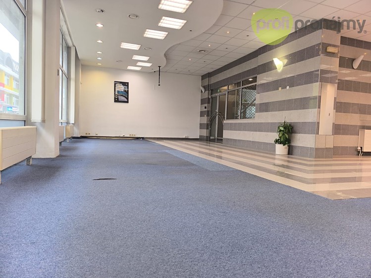Pronájem komerčního prostoru, 170 m² (3 z 6)