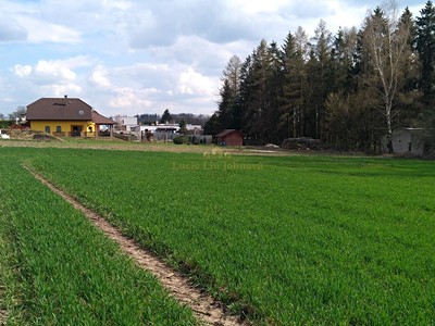 Prodej pozemku, 4 494 m² (3 z 7)