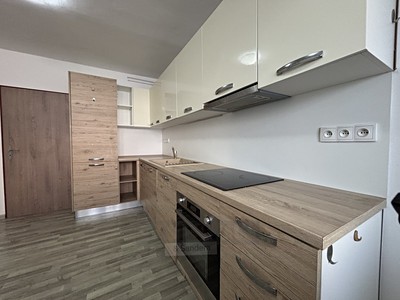 Pronájem bytu 1+1 41 m²