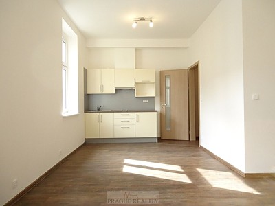 Pronájem bytu 1+kk 35 m²