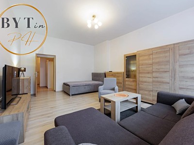 Pronájem bytu 1+1 56 m²