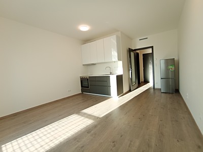 Pronájem bytu 1+kk 29 m² (Jednopodlažní)