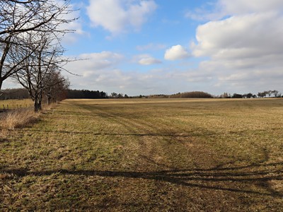 Kodešova, Frýdlant