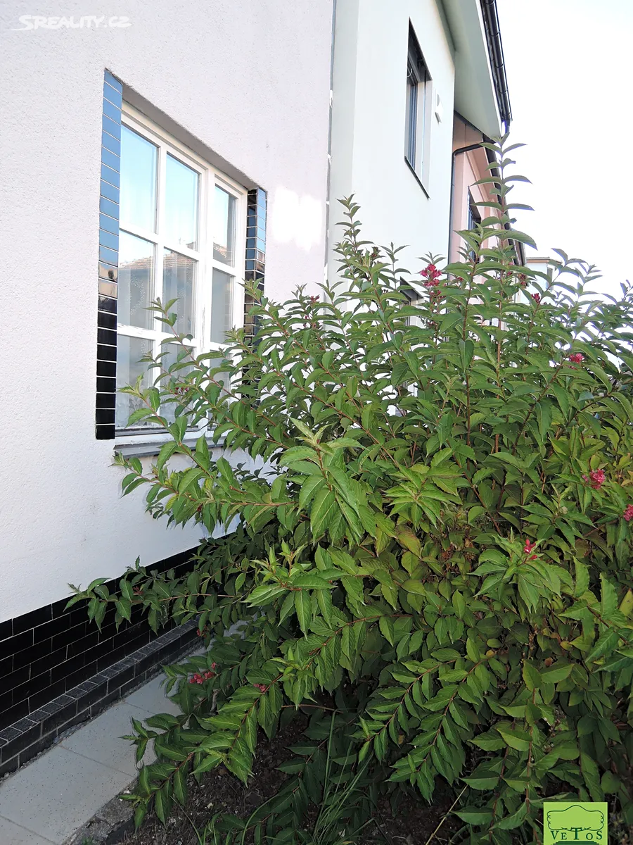 Prodej rodinného domu 91 m², pozemek 152 m² – pohled 4