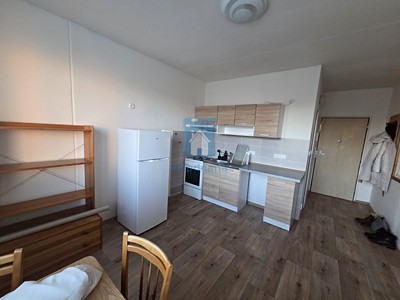 Pronájem bytu 1+1 43 m²