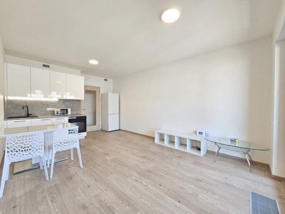 Pronájem bytu 1+kk 33 m²