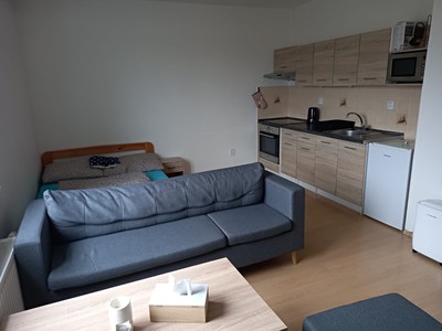 Pronájem bytu 1+kk 39 m² (Jednopodlažní)