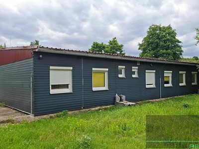Pronájem bytu 6 pokojů a více 250 m²