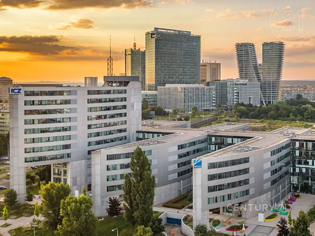 Pronájem kanceláře 523 m² – fotografie 3