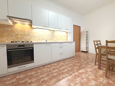 Pronájem bytu 1+1 47 m²