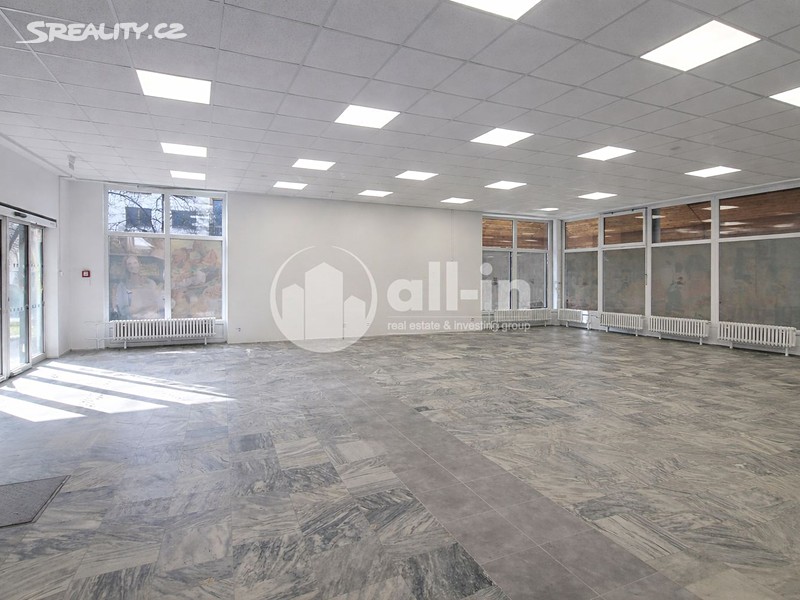 Pronájem obchodního prostoru 252 m² – pohled 4