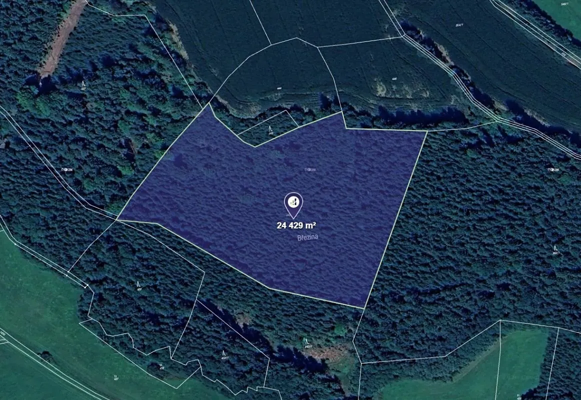 Prodej lesa 25533 m²