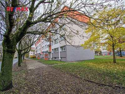 Pronájem bytu 2+1 43 m²