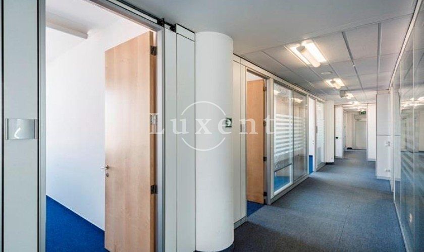 Pronájem kanceláře 320 m² – fotografie 2