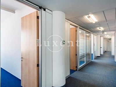 Pronájem komerčního prostoru, 320 m² (2 z 4)