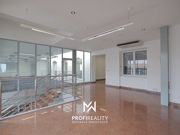 Комерційне приміщення в оренду, 660 м² (13 з 40)