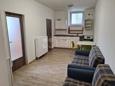Pronájem bytu 3+kk 45 m²