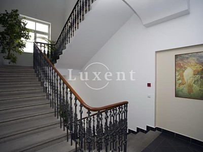 Pronájem komerčního prostoru, 218 m² (3 z 5)