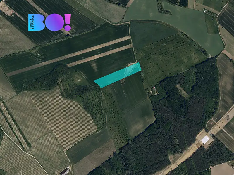 Prodej pole 20148 m², Bzenec – náhled fotky 3