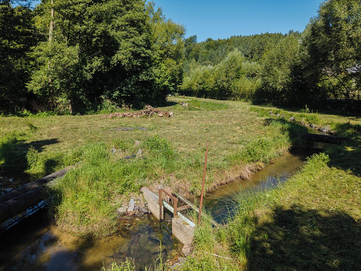 Pronájem rybníku (vodní plochy) 8295 m² – fotografie 5