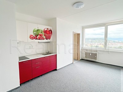Pronájem bytu 1+1 33 m² (Jednopodlažní)