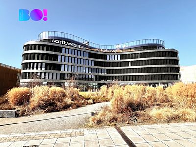 Pronájem obchodního prostoru 300 m²