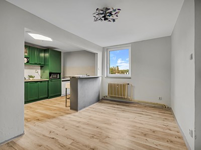 Prodej  vícegeneračního domu 246 m², pozemek 940 m² — photo 3