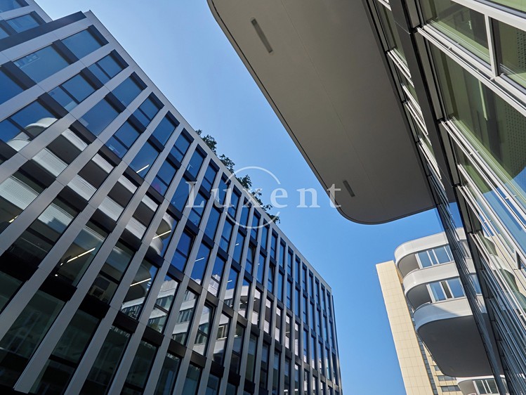 Комерційне приміщення в оренду, 740 м² (8 з 8)