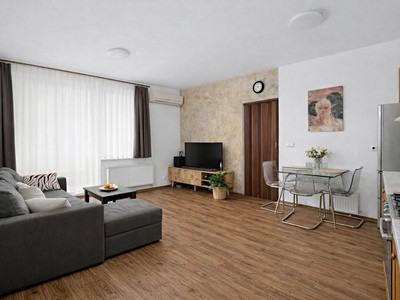 Prodej bytu 2+kk 41 m² (Jednopodlažní)