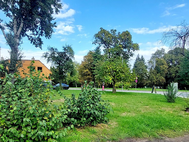 Grundstück zum Kauf, 496 m² (8 von 10)