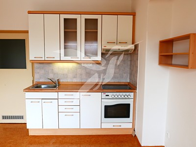 Pronájem bytu 1+1 47 m²